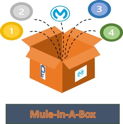 Mule-in-a-Box