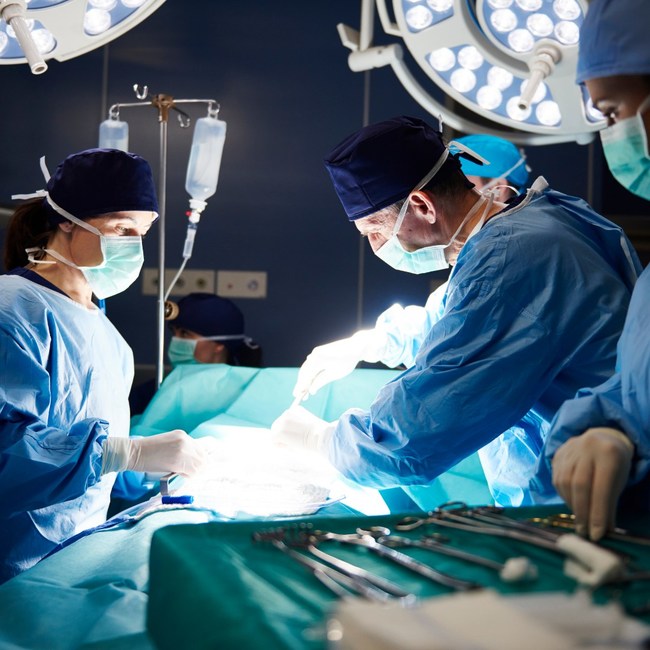 Resolving Transplant Organ Shortage With Xenotransplantation