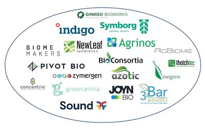 The start-up landscape for the plant microbiome is growing rapidly. Source: IDTechEx report 