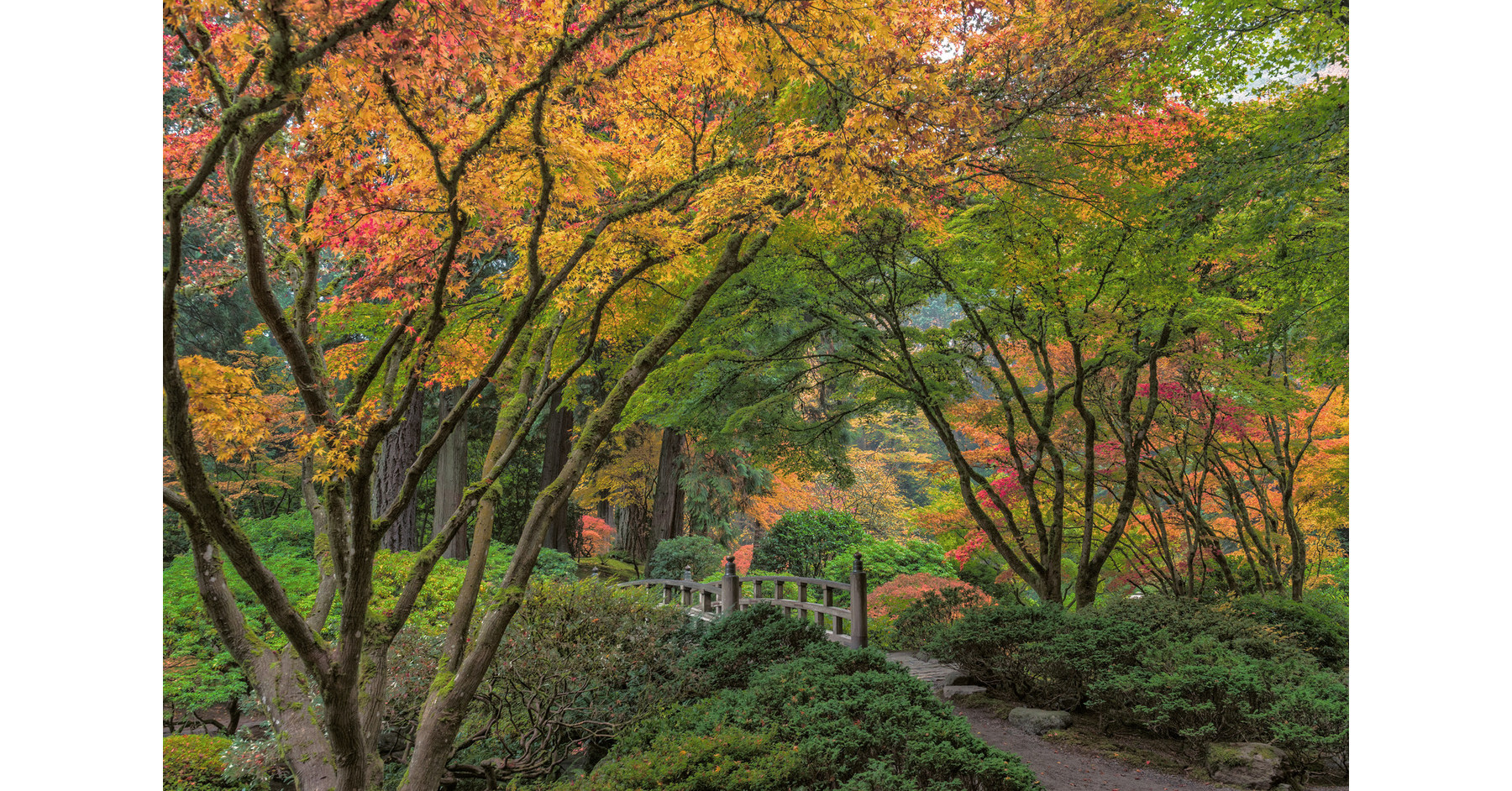 Experience Quintessential Autumn at Portland Japanese Garden