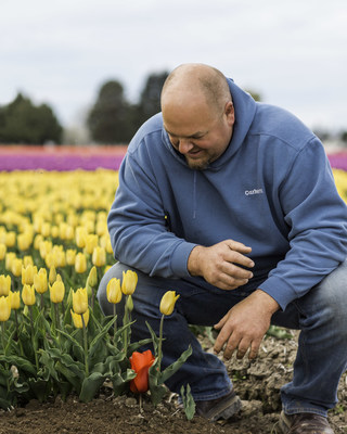 Dairy farmer Jason VanderKooy partners with local tulip farmers to grow the beautiful flowers that bring thousands to the Skagit Valley each April.