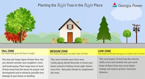 Georgia Power encourages customers to choose the right trees and shrubs this fall
