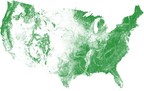 US Tree Map: EarthDefine Creates the Most Detailed Map of America's Trees