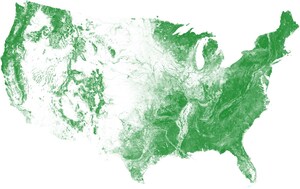 US Tree Map: EarthDefine Creates the Most Detailed Map of America's Trees