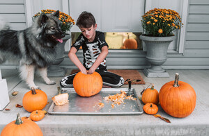 4 Tips to Celebrate Halloween with Your Pet