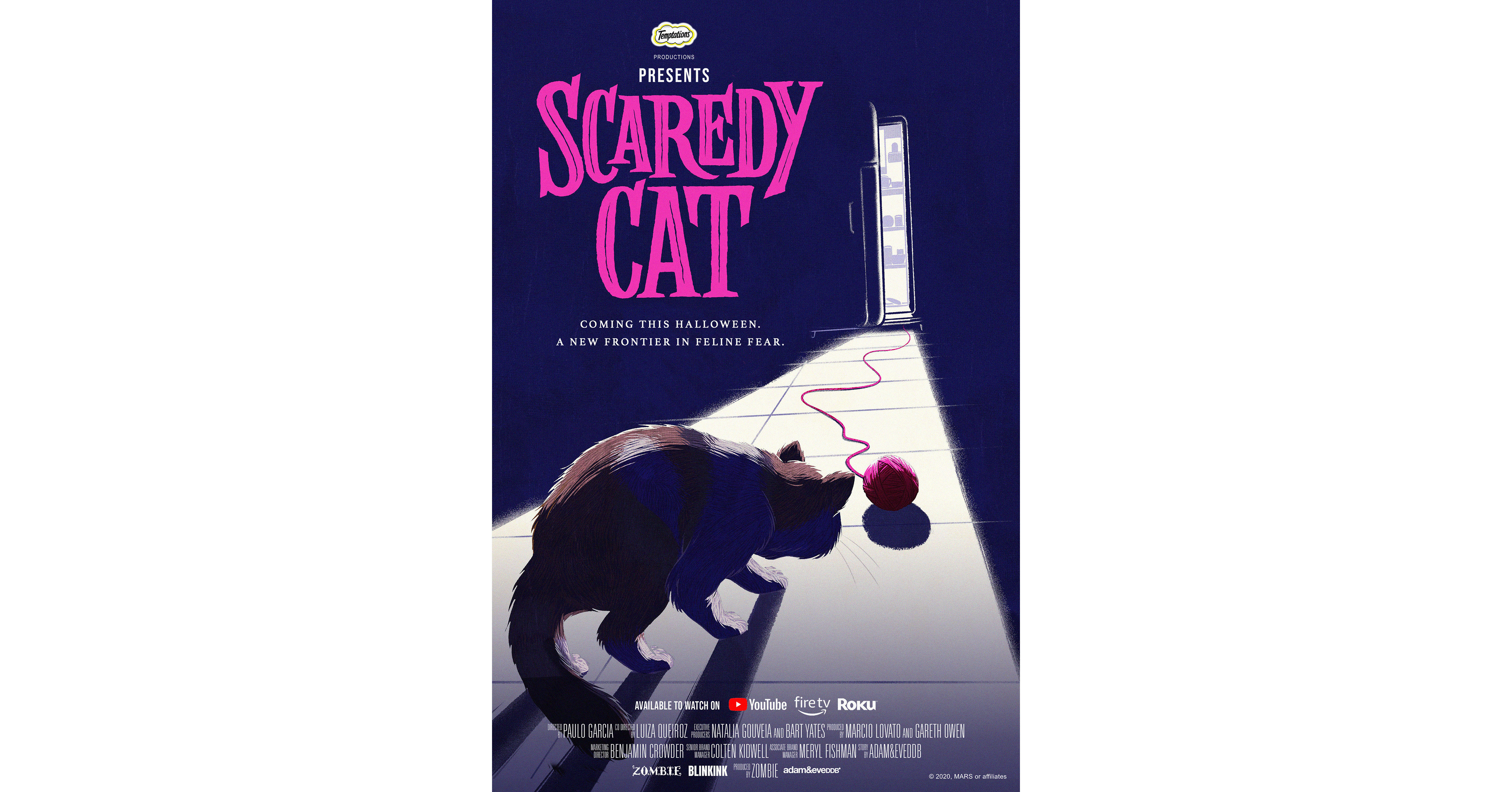Two paws up for Scaredy Cat the first-ever horror movie for cats