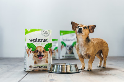 plant based dog food