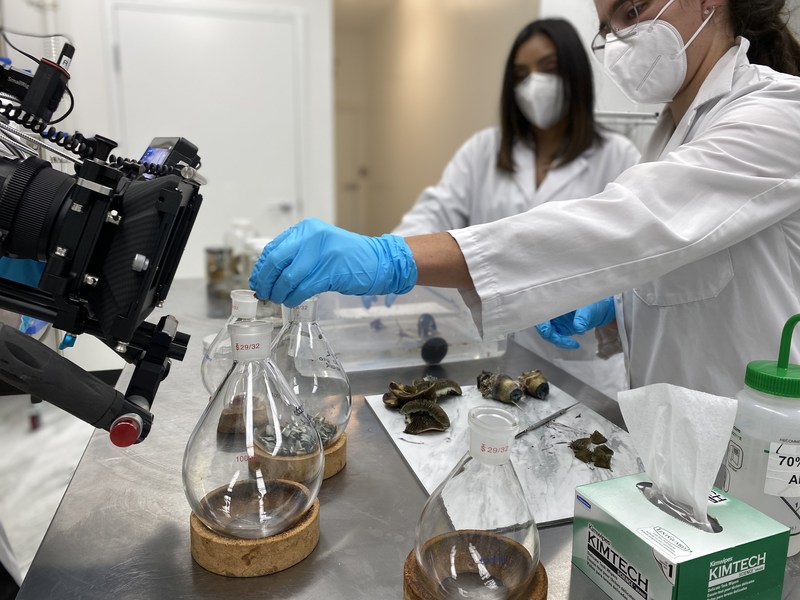 Numinus Bioscience Preparation of Harvested mushrooms for freeze drying as the first step to mycochemical discovery and development of standardized testing (CNW Group/Numinus Wellness Inc.)