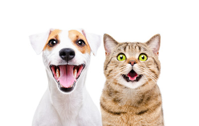 CareCredit announces extended strategic partnership with National Veterinary Associates. "We are excited to deepen our relationship with NVA by giving veterinarians the ability to offer comprehensive financial options and a seamless client experience," said Jonathan Wainberg, SVP and GM, CareCredit Pet.