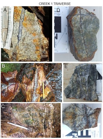 Figure 3. Field photographs of the Shakai discovery zone at Cascas. Creek 1 Traverse: A: Molybdenite lined quartz vein. B: Center-line pyrite vein. C: Stockwork of quartz/sulphide veins. D: Chip sample of B vein. E: Chip sample of banded massive pyrite-silica-molybenite. F: Banded pyrite-chalcocite-chalcopyrite vein. (CNW Group/Luminex Resources Corp.)