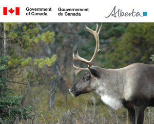 Canada and Alberta reach caribou conservation deal