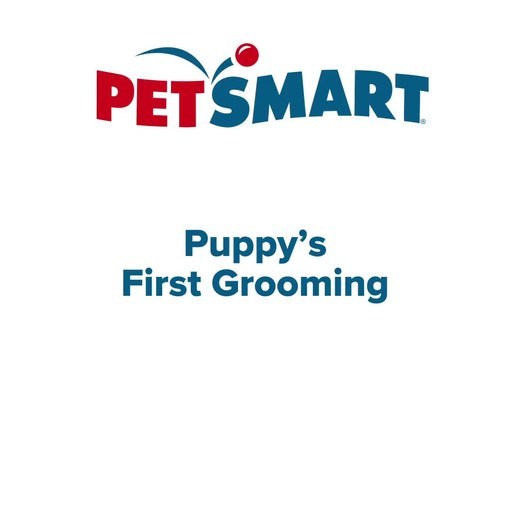 PetSmart Canada teaches Canadians how to groom their puppy
