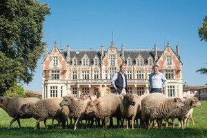 Château Cantenac Brown's Carbon-Neutral New Winery