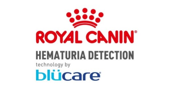 Unlock the Secret to Cat Well being with Royal Canin Hematuria Detection, Know-how by Blücare