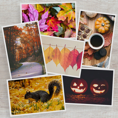 The Gallery Collection Announces 2020 Colors of Autumn Photo Contest