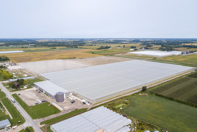 Kingsville, Ontario 36-Acre Strawberry Farm and identical 36-Acre expansion under construction. (CNW Group/Mucci Farms)