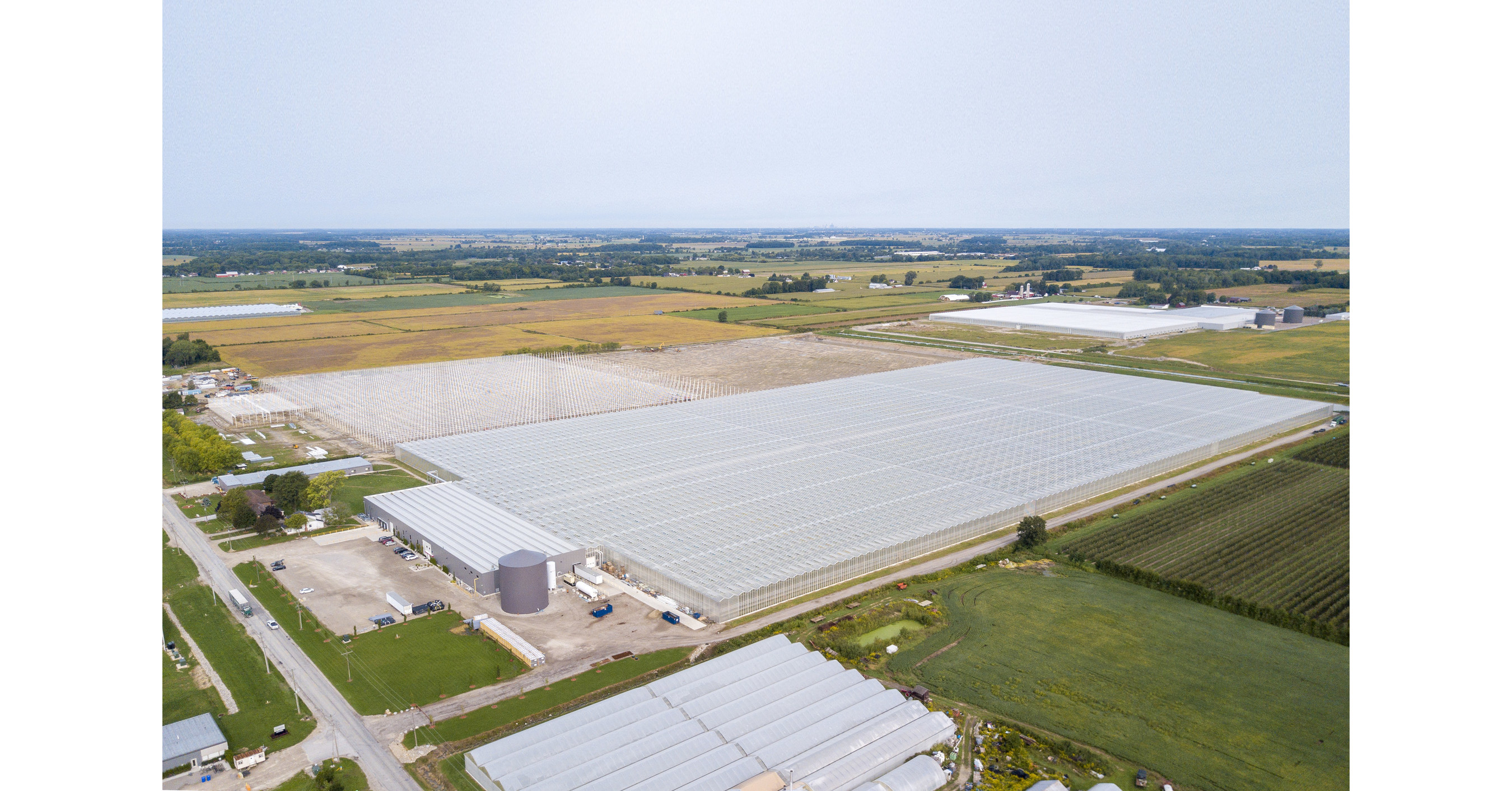 Mucci Farms Announces 200Acre North American Expansion!