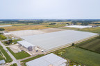 Mucci Farms Announces 200-Acre North American Expansion!
