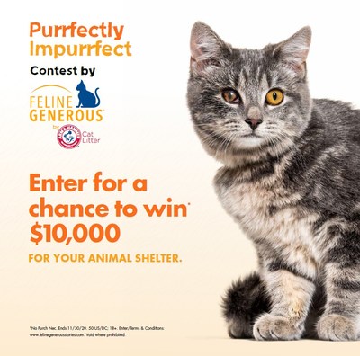 Today through November 30th cat lovers can nominate any ?purrfectly impurrfect' shelter cats that may be getting passed by because of their age, appearance or misunderstood personalities on www.FelineGenerousStories.com. The first 100 nominations will receive $100 worth of ARM & HAMMER Cat Litter and the shelters of the 3 winning cats will each receive $10,000 from ARM & HAMMER, plus counseling services from cat expert, Pam Johnson-Bennett.