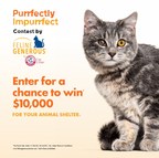 The Maker of ARM &amp; HAMMER™ Cat Litter Kicks Off National Campaign to Help "Purrfectly Impurrfect" Cats Find Furever Loving Homes and A Chance for Shelters to Win $30,000