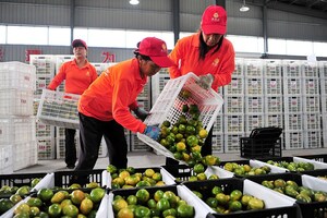 Per Capita Disposable Income Of Chinese People Rose 6.5% Annually