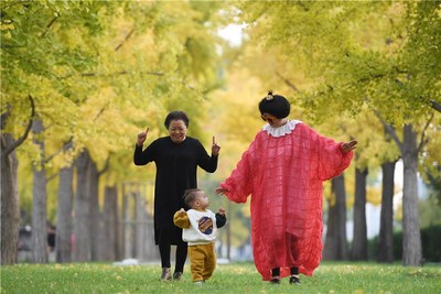 A family enjoys the ginkgo trees in downtown Beijing. [Photo by WEI XIAOHAOCHINA DAILY]