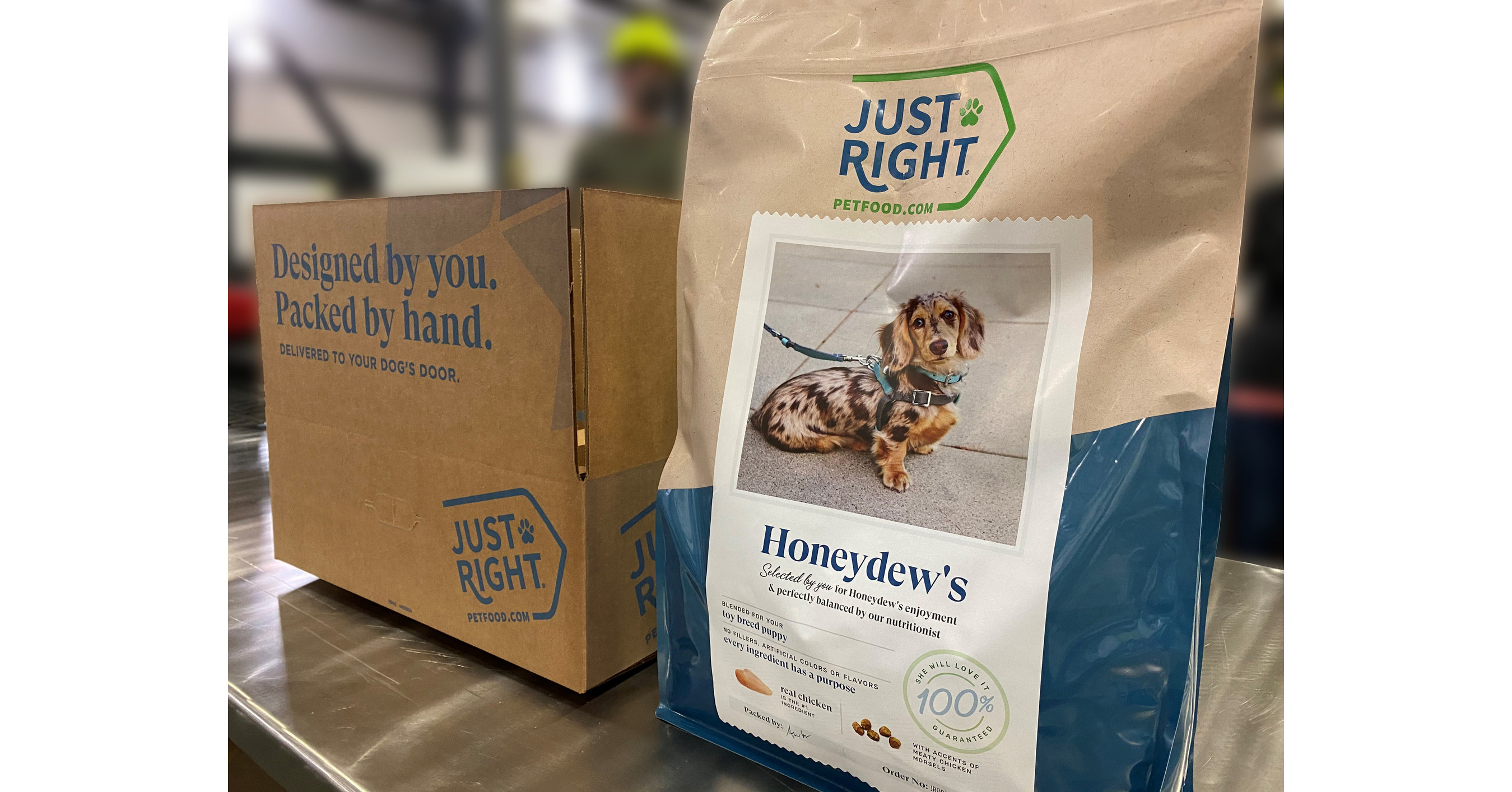 Tailored to Perfection: 10 Customised Dog Foods Your Pooch Will Love