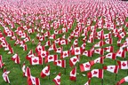Séance de photo/vidéo : Manuvie expose plus de 12 000 drapeaux canadiens pour rendre hommage à nos héros disparus