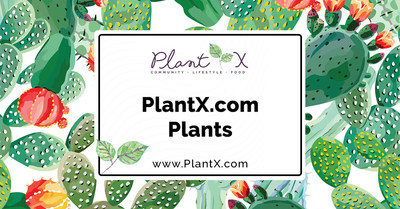 PlantX.com adds indoor plants to the website (CNW Group/PlantX Life Inc.)