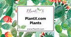 PlantX Partners with House Plant Shop to Launch New U.S. Indoor Plant Store on PlantX.com