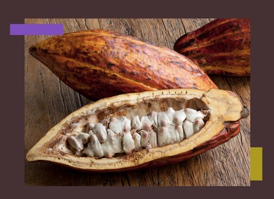 WGSN Food &amp; Drink forecasts Eight Key Trends for 2021