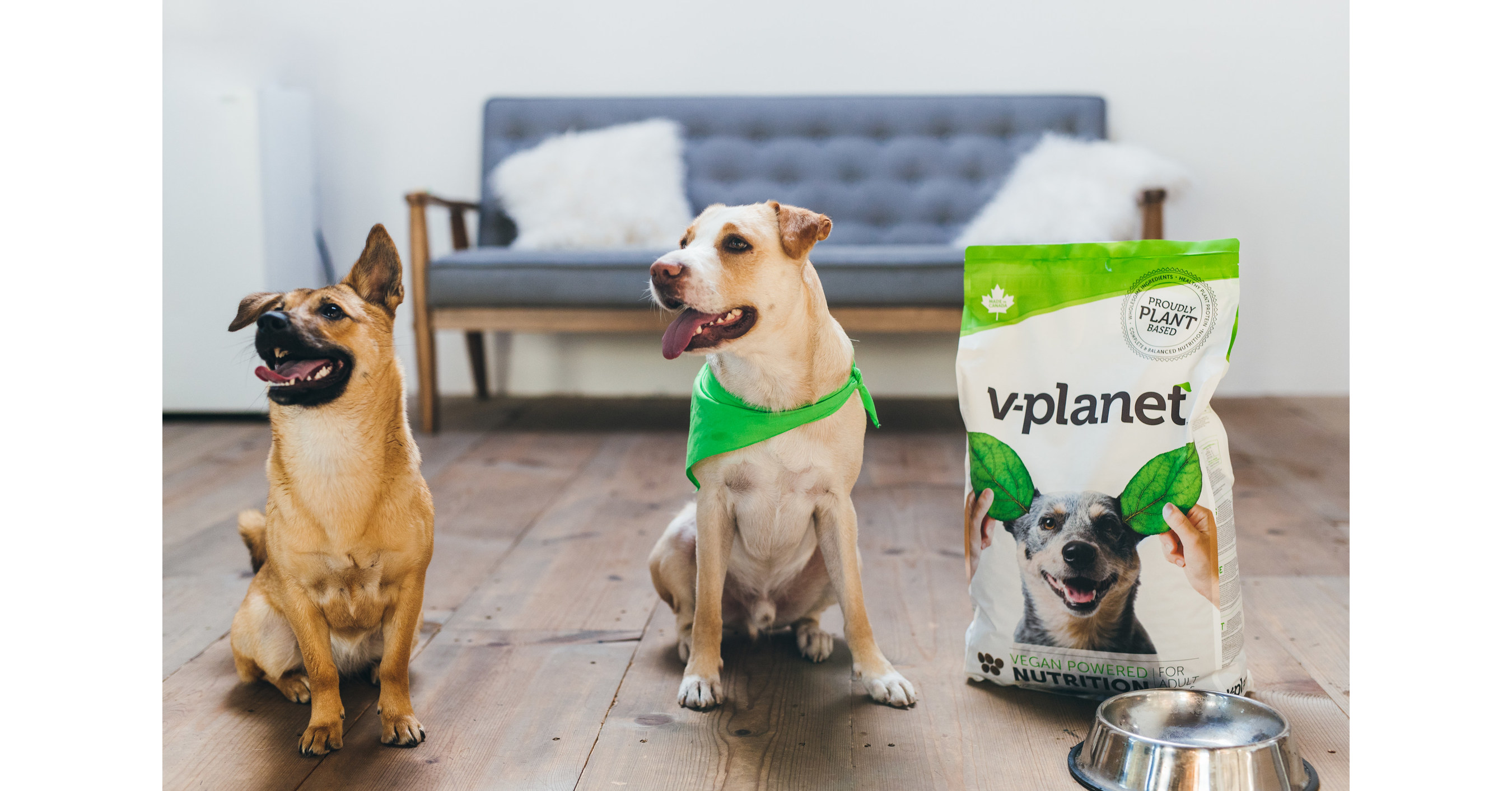 launches plantpowered dog food in South Korea