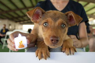 The undeniable growing movement towards welcoming an orphan pet into our homes may be 2020's most comforting takeaway. Helen Woodward Animal Center sees an increase in adoption numbers and the heightened impact of this year's Remember Me Thursday campaign.