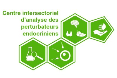 Logo du Centre intersectoriel d'analyse des perturbateurs endocriniens (CIAPE) (Groupe CNW/Institut national de la recherche scientifique (INRS))