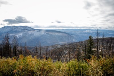 A broad view of wildfire devastated forests; Tŝilhqot’in Nation (Canada) (CNW Group/Shell Canada Limited)