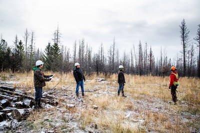 Survey of wildfire damage to forested area in Tŝilhqot’in territory in the B.C. Interior. (CNW Group/Shell Canada Limited)