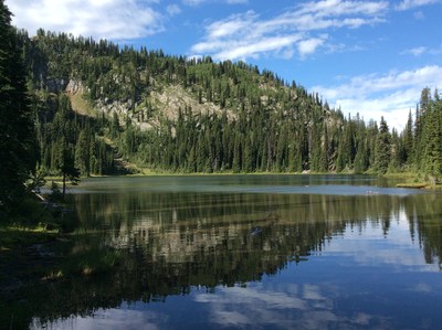 Reflection off alpine lake, Darkwoods Conservation Area, Southeast British Columbia. Credit: Nature Conservancy of Canada (CNW Group/Shell Canada Limited)