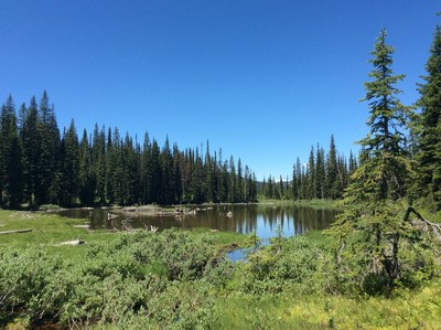 Wetlands, Darkwoods Conservation Area, Southeast British Columbia. Credit: Nature Conservancy of Canada. (CNW Group/Shell Canada Limited)