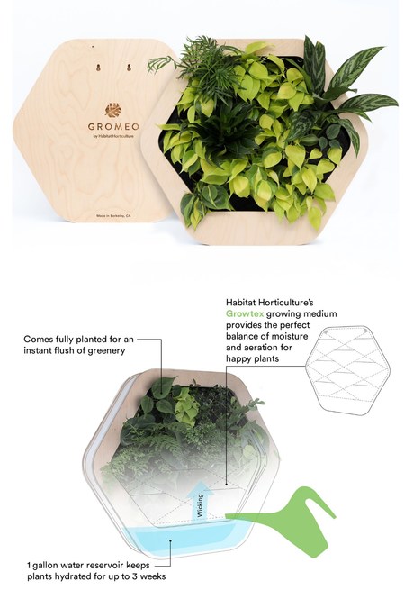 Habitat Horticulture Launches Gromeo A Self Watering Living Wall Planter For Homes And Personal Spaces - Living Wall Planter Canada