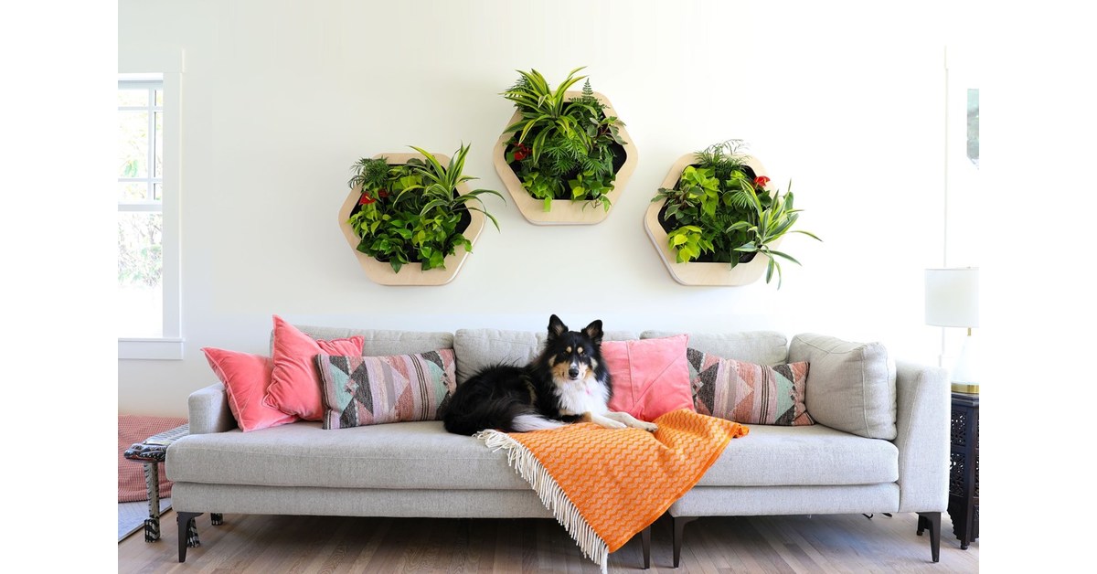 Habitat Horticulture Launches Gromeo™, a SelfWatering Living Wall