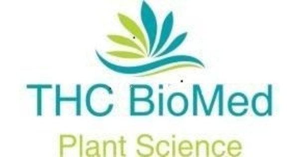 THC BioMed lanza sus resultados para fin de a&ntilde;o