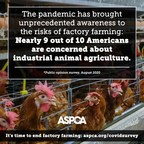 New ASPCA Survey: COVID-19 Pandemic Has Brought Unprecedented Awareness and Consensus Regarding Factory Farming Risks