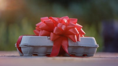 American Egg Board "The Gift of Eggs" Holiday Campaign Celebrates What Really Matters This Season