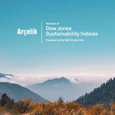 Arcelik Dow Jones Sustainability Indices 2020
