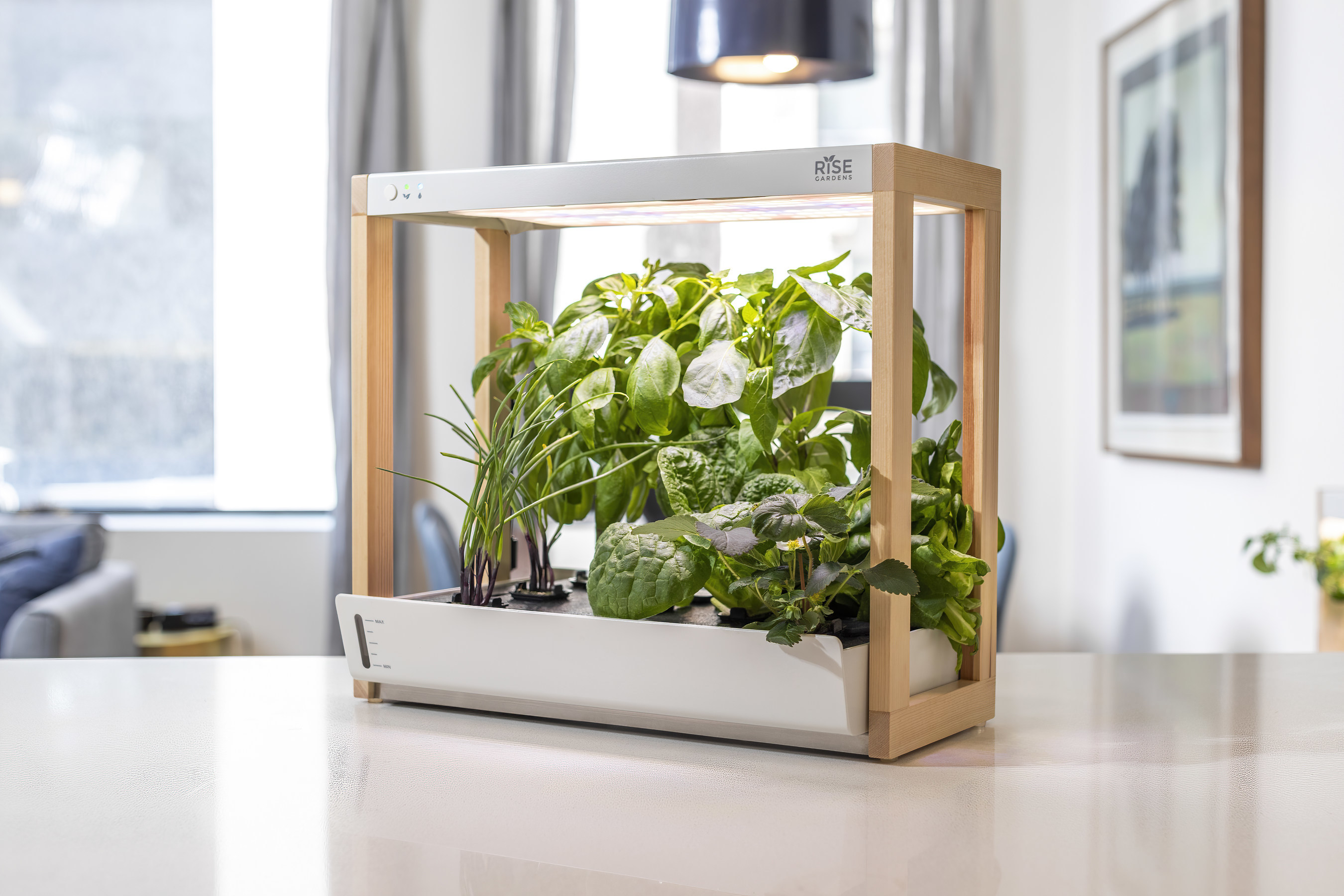 Rise Gardens Launches New Smaller Personal Garden Designed To Fit Compact Spaces Such As Shelves Or Countertops In Time For Holiday Gifting