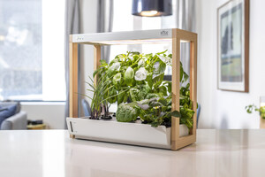 Rise Gardens Launches New Smaller "Personal Garden" Designed to Fit Compact Spaces Such As Shelves or Countertops in Time for Holiday Gifting