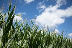Farmers find measurable improvements in corn portfolio after R&amp;D investment