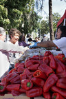 National Health Foundation Tackles Food Insecurity with Drive-Thru Food Distribution
