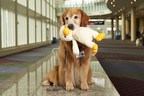 'AKC Heroes: 2020 Awards For Canine Excellence' Special Coming To AKC.tv