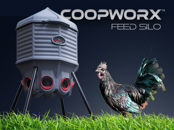 CoopWorx Feed Silo, a new breed of feeder designed to make feeding chickens easier. Launching on Kickstarter Sunday, November 22, at 4pm, EDT.